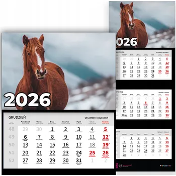 Kalendář Trojdílný kalendář 2026 Nástěnný Kancelářský Příroda Koně Vzory