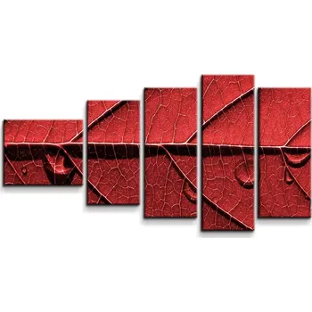 Obraz Sablio Obraz - 5-dílný Červený list - 100x60 cm