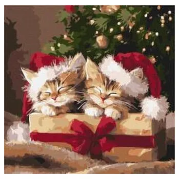 Set školních potřeb Malowanie po numerach - Puszyste prezenty 40x40cm