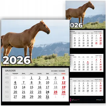 Kalendář Trojdílný kalendář 2026 Závěsný Nástěnný Kancelářský Příroda Koně Vzory