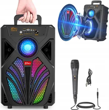 Bluetooth reproduktor Přenosný Bluetooth reproduktor Karaoke s mikrofonem, černý