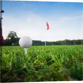 Obraz Sablio Obraz Golf - 50x50 cm