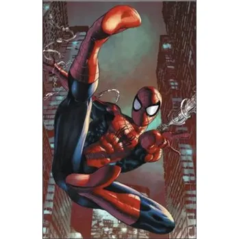 Obraz Obraz Decopanel Spiderman 1 90x58cm