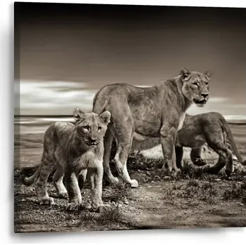 Obraz Sablio Obraz Lvice a lvíčata - 50x50 cm