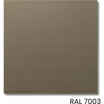 Příslušenství pro čtečku elektronické knihy PRÁŠKOVÁ BARVA RAL 7003 Polyester SATÉNOVÁ (šalvějově šedá) - 1 kg