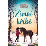 Zimní hříbě - Susanna Baileyová (2023,…