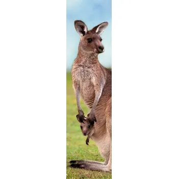 Záložka Záložka 3D Klokan