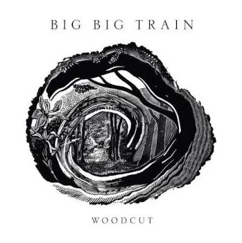 Zahraniční hudba Big Big Train - Woodcut (CD, 19802977922)
