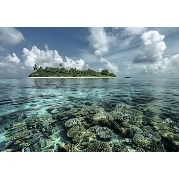 Obraz Obraz Decopanel Treasure island 136x98cm