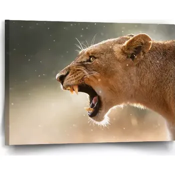 Obraz Sablio Obraz Rozzuřená lvice - 90x60 cm