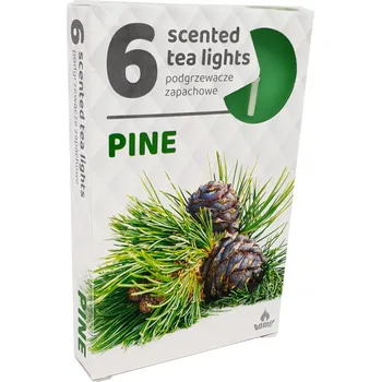 Svíčka Parafínové čajové svíčky Pine Admit 6 ks