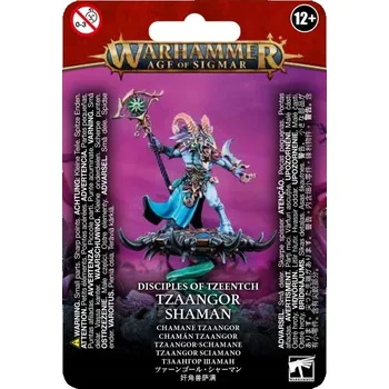 Příslušenství k deskovým hrám Warhammer Fantasy Battle Tzeentch Arcanites Tzaangor Šaman Games Workshop