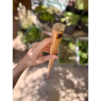 Ratanová hůl s gumovou koncovkou XXL - KRÁTKÁ CCA 128 CM