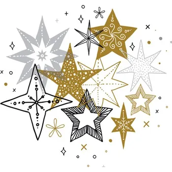 Pol-Mak Ubrousky DAISY L (20ks) Chic Stars Collection 603605