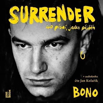 Česká hudba Surrender: 40 písní, jeden příběh - CDmp3