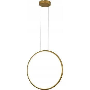 Závěsné svítidlo Reality Ragi 1 -bodové světlo s integrovaným LED zdrojem