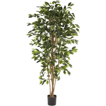 umělá květina Ficus Nitida Verzweigt (17x150cm)-umělá -ý