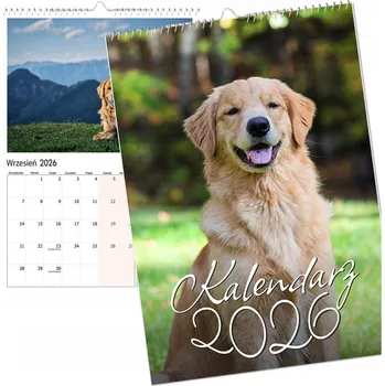 Kalendář Nástěnný kalendář 2026, více listů, velký NOTES Zlatý retrívr pes A3
