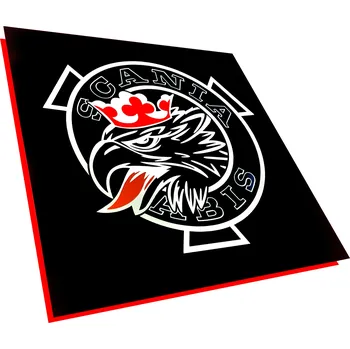 autokoberec LED tabule SCANIA LOGO pro kamiony, podsvícená, 50x50 cm + OBVODOVÉ SVĚTLO + DÁLKOVÉ OVLÁDÁNÍ