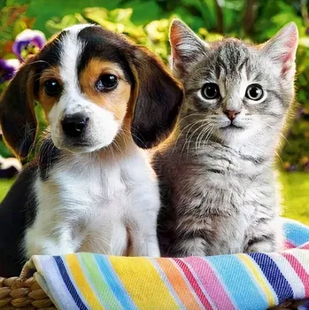 Obraz DIAMANTOVÁ VÝŠIVKA MOZAIKA SADA 5D DIAMOND PAINTING