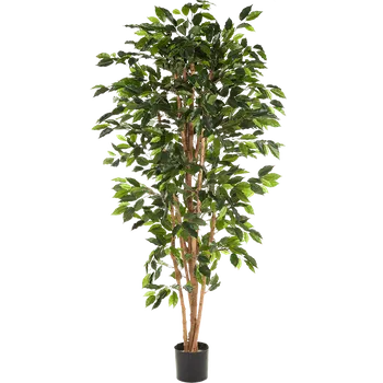 umělá květina Ficus Nitida Verzweigt (17x180cm)-umělá -ý