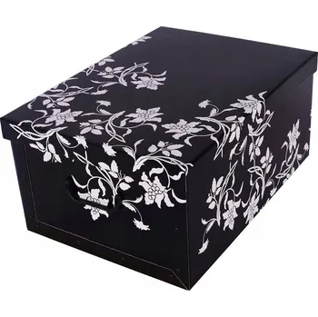 Obraz Krabice s víkem bílá, černá