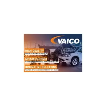 Brzdový kotouč Ochranný plech brzdový kotouč levé zadní kolo VAICO V10-3895 - ZL