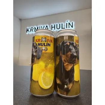 Pivo PIVO REGENT - Edice KH - LEMON FREE - JEZEVČÍK 0,5 L