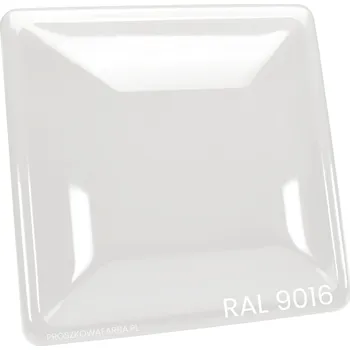 Příslušenství pro čtečku elektronické knihy BARVA odplyňovací RAL9016 PE Qualicoat LESK (Bílá Dopravní) 1kg