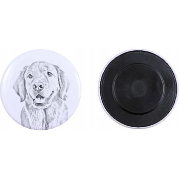 Obraz Zlatý retrívr - magnet s psím pozadím, extra lehká, silná magnet, p