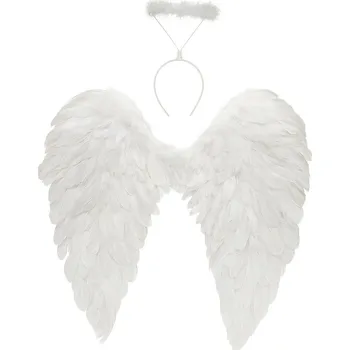 Obraz Andělská křídla 60x60 cm Bílá Přírodní Peří + Svatá záře Betlém