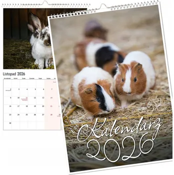Kalendář Nástěnný kalendář 2026, víceobrázkový, velký, NOTES, roztomilá zvířátka, formát A4