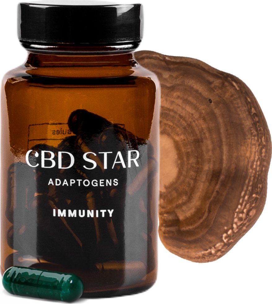 CBD STAR CBD IMMUNITY ADAPTOGENS