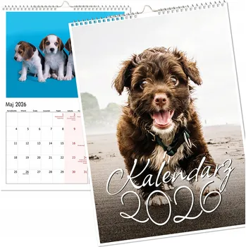 Kalendář Nástěnný kalendář 2026 velký, víceobrázkový - Psi, štěňata, roztomilí mazlíčci A3