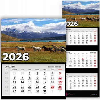 Kalendář Trojdílný kalendář na rok 2026, nástěnný, kancelářský - Příroda, koně, louka, různé vzory