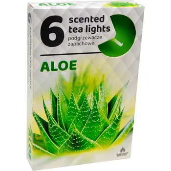Svíčka Parafínová čajová svíčka ALOE Admit 6 ks