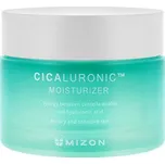 Hydratační pleťový krém pro suchou a citlivou pleť Cicaluronic (Moisturizer) 50 ml