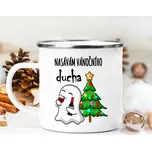 Ahome CZ Plecháček Vánoční duch