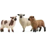Schleich 42660 ovčí kamarádky