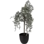 Dekorace cedrový stromek v květináči Cedar M - 30*30*60 cm