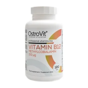 Doplněk stravy Ostrovit - Vitamin B12 methylcobalamin 100mcg 120 tablet