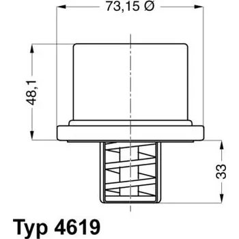 Auto-moto Termostat, chladivo BorgWarner (Wahler) 4619.82