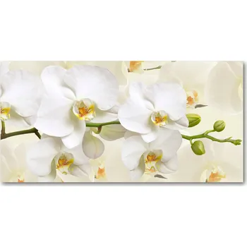 Obraz Kuchyňský Panel s Grafikou Mezi Skříňky Orchidej 100x50 Tvrzené Sklo