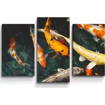 Obraz Sablio Obraz - 3-dílný Ryby - 75x50 cm