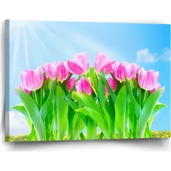 Obraz Sablio Obraz Růžové tulipány - 60x40 cm
