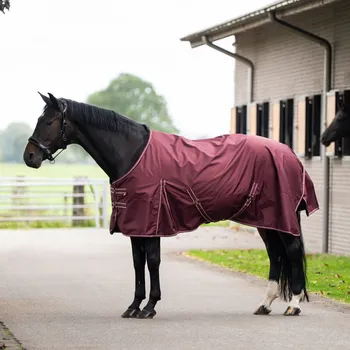 Deka pro koně Imperial Riding Deka výběhová Basic Imperial Riding, 200 g, deep red Délka zad: 115 cm