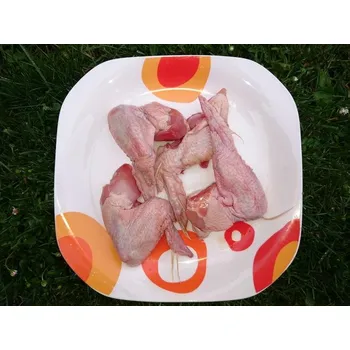 Krmivo pro psa Sokol Falco Kuřecí křídla Váha: 500 g