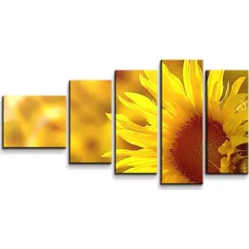 Obraz Sablio Obraz - 5-dílný Slunečnice 3 - 100x60 cm