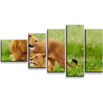 Obraz Sablio Obraz - 5-dílný Lev a lvice - 100x60 cm