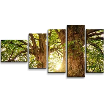Obraz Sablio Obraz - 5-dílný Stromy - 100x60 cm